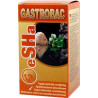 Esha Gastrobac 10ml