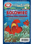 ICHTHYO TROPHIC artemia solowiec intensywna czerwień 100g
