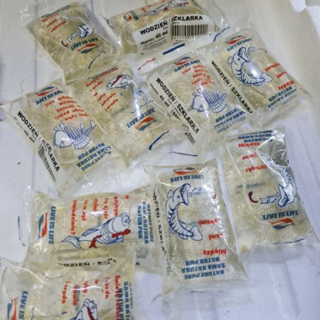 Pokarm żywy Szklarka 45ml