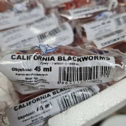 Pokarm żywy California blackworms 45ml