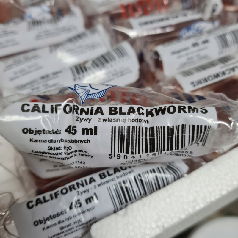 Pokarm żywy California blackworms 45ml