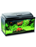 Aquael zestaw classic box 60 prosty