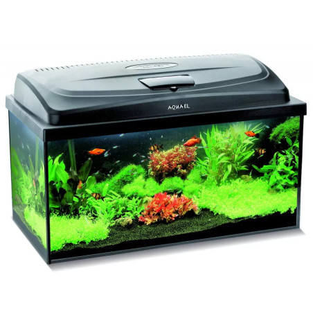 Aquael zestaw classic box 40 prosty