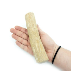 4Dogs patyk z drzewa kawowego L