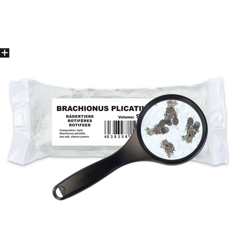 Ichthyo Trophic wrotka morska