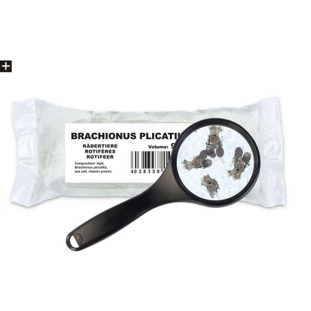 Ichthyo Trophic wrotka morska