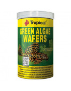 Tropical Green Alge Wafers 100ml