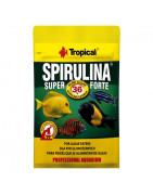 Tropical Spirulina Super Forte 36% 12g
