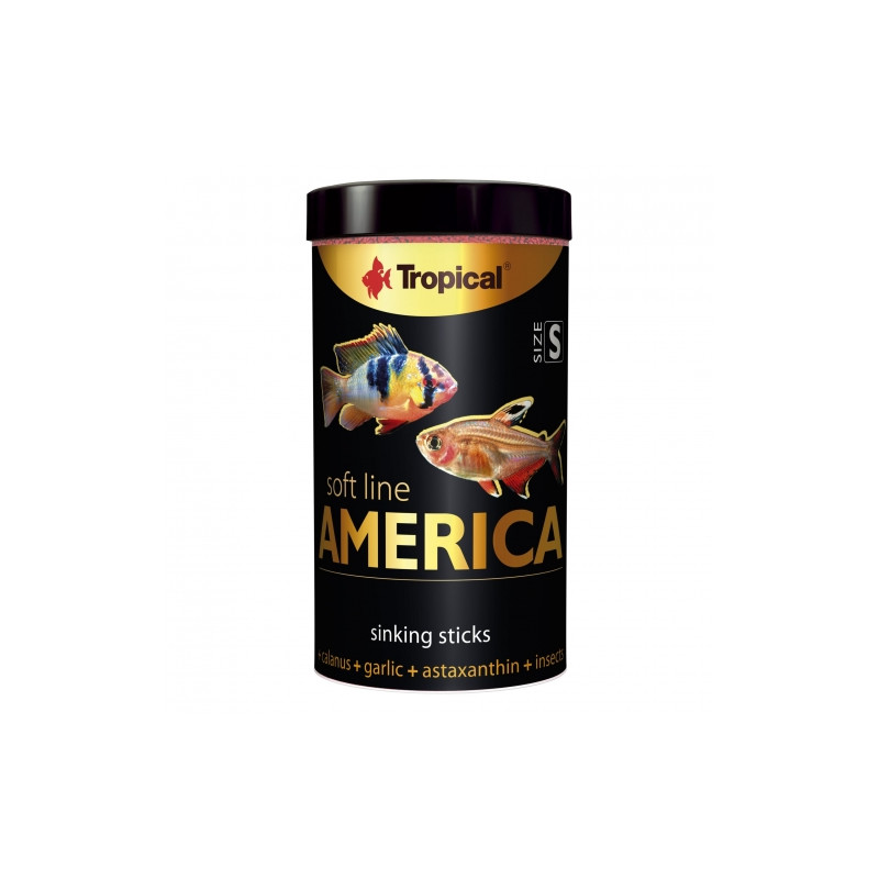 Tropical Soft Line America S 100ml