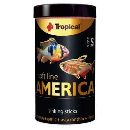 Tropical Soft Line America S 100ml